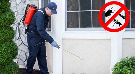 Evka 1 Karınca İlaçlama böcek ilaçlama ve haşere kontrolü — ilaclama-tr.com